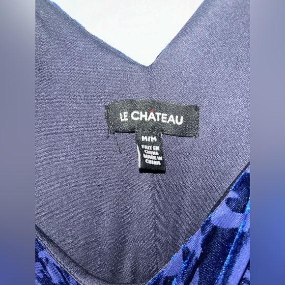 Le Chateau paisley blue velvet dress​ - Picture 2 of 3